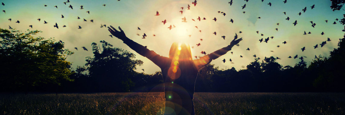 Site Image (Sunlight, Silhouette, Potential)